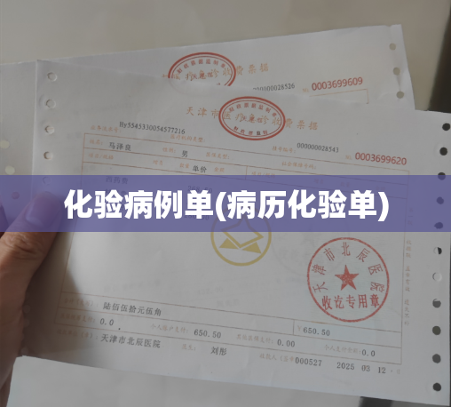 化验病例单(病历化验单)