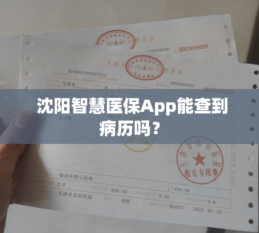  沈阳智慧医保App能查到病历吗？