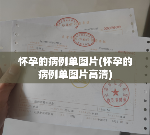 怀孕的病例单图片(怀孕的病例单图片高清)